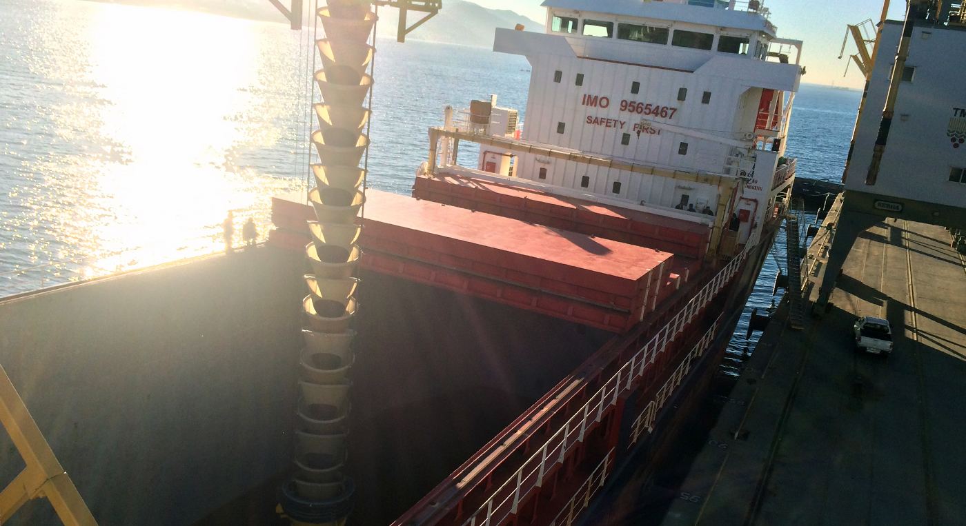 Bulk Shiploader